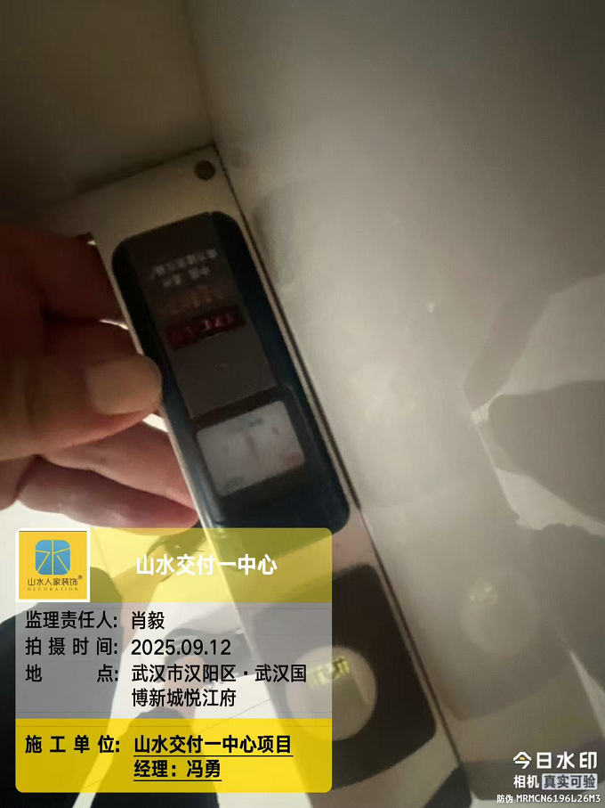 武漢國(guó)博新城悅江府工地巡檢2025.09.12